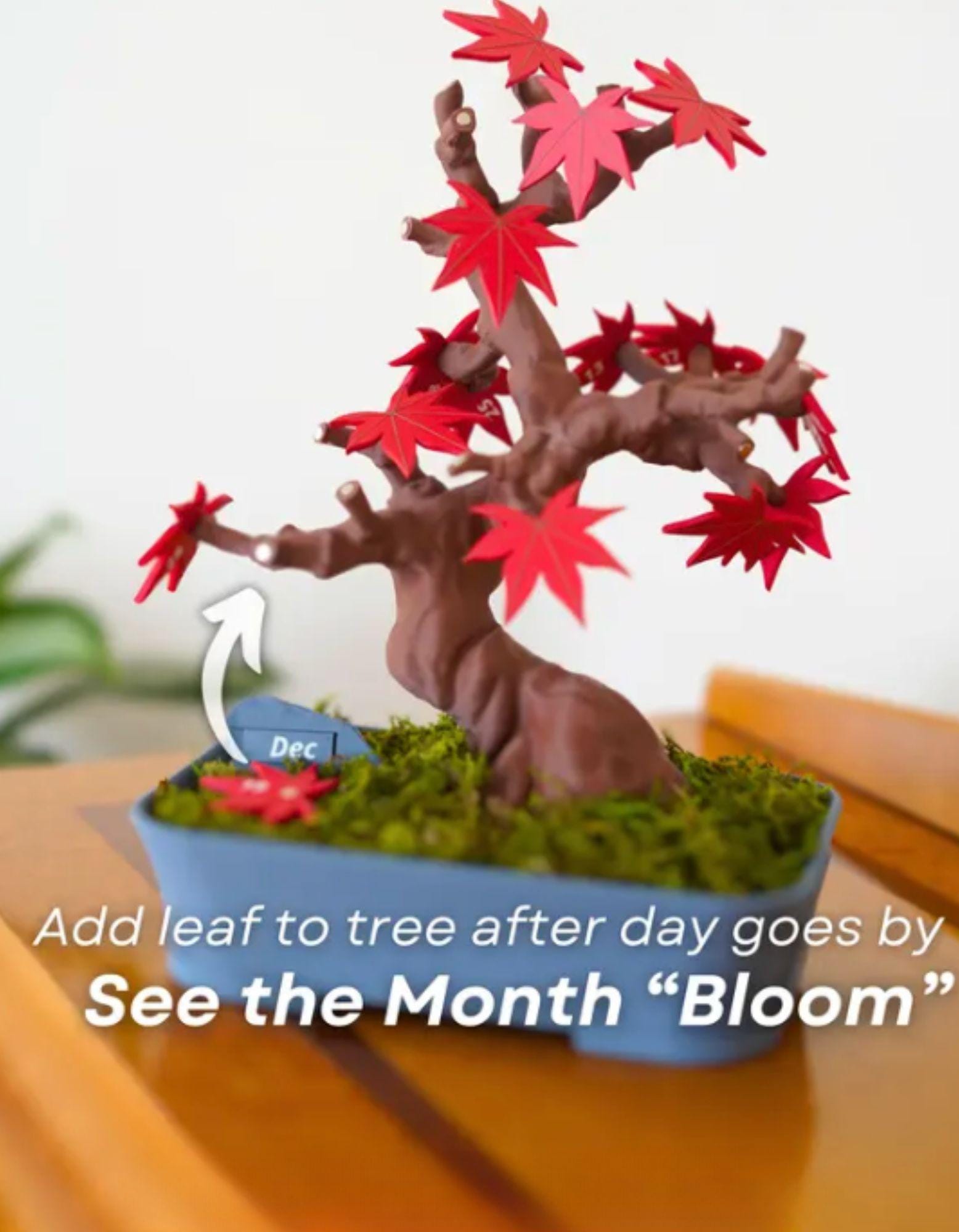 Bonsai Tree Calendar
