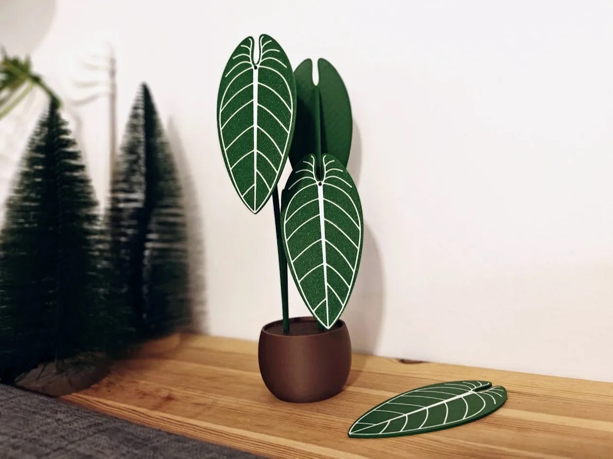 Anthurium Plant Coaster Set