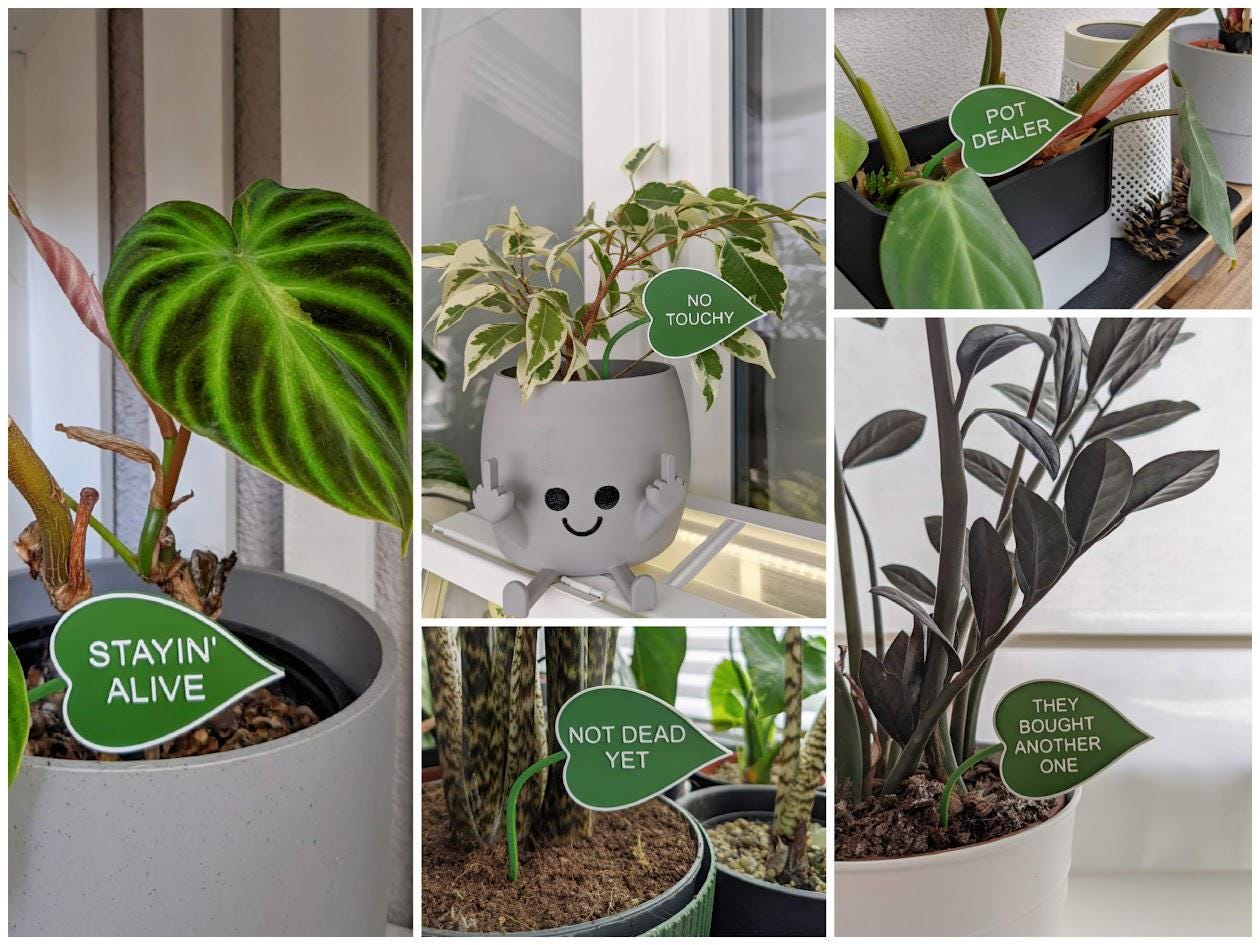 Eco-Friendly Funny Leaf Shaped Plant Signs