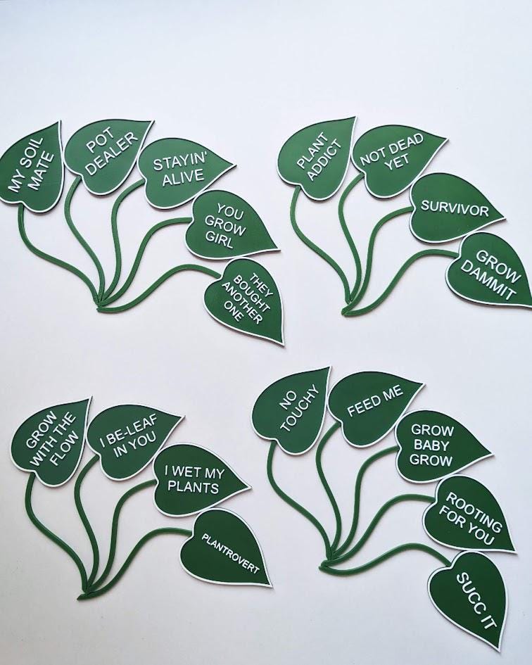 Eco-Friendly Funny Leaf Shaped Plant Signs