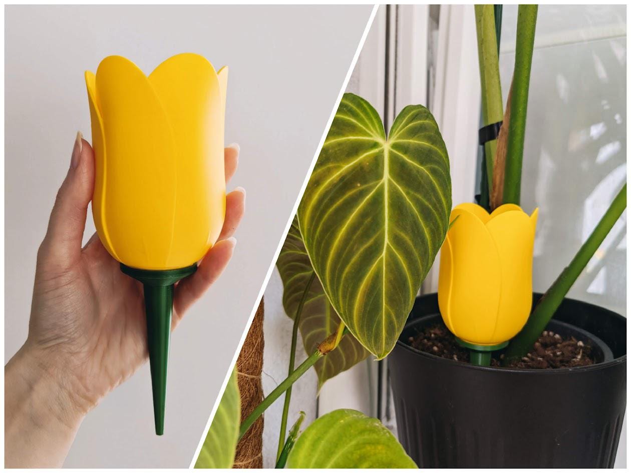 Plant Watering Daisy, Tulip, & Pitcher Plant Set