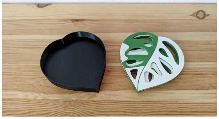 Monstera Plant Coaster Set
