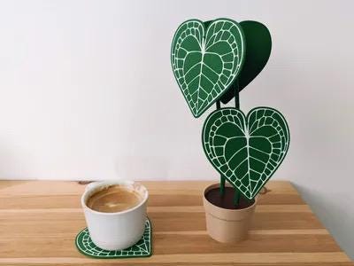 Anthurium Plant Coaster Set