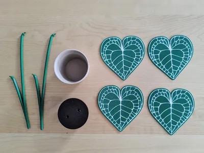 Anthurium Plant Coaster Set