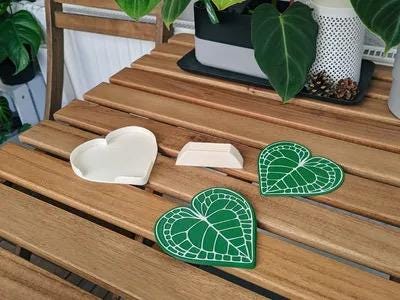 Anthurium Plant Coaster Set
