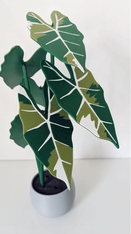 Alocasia Plant Coaster Set
