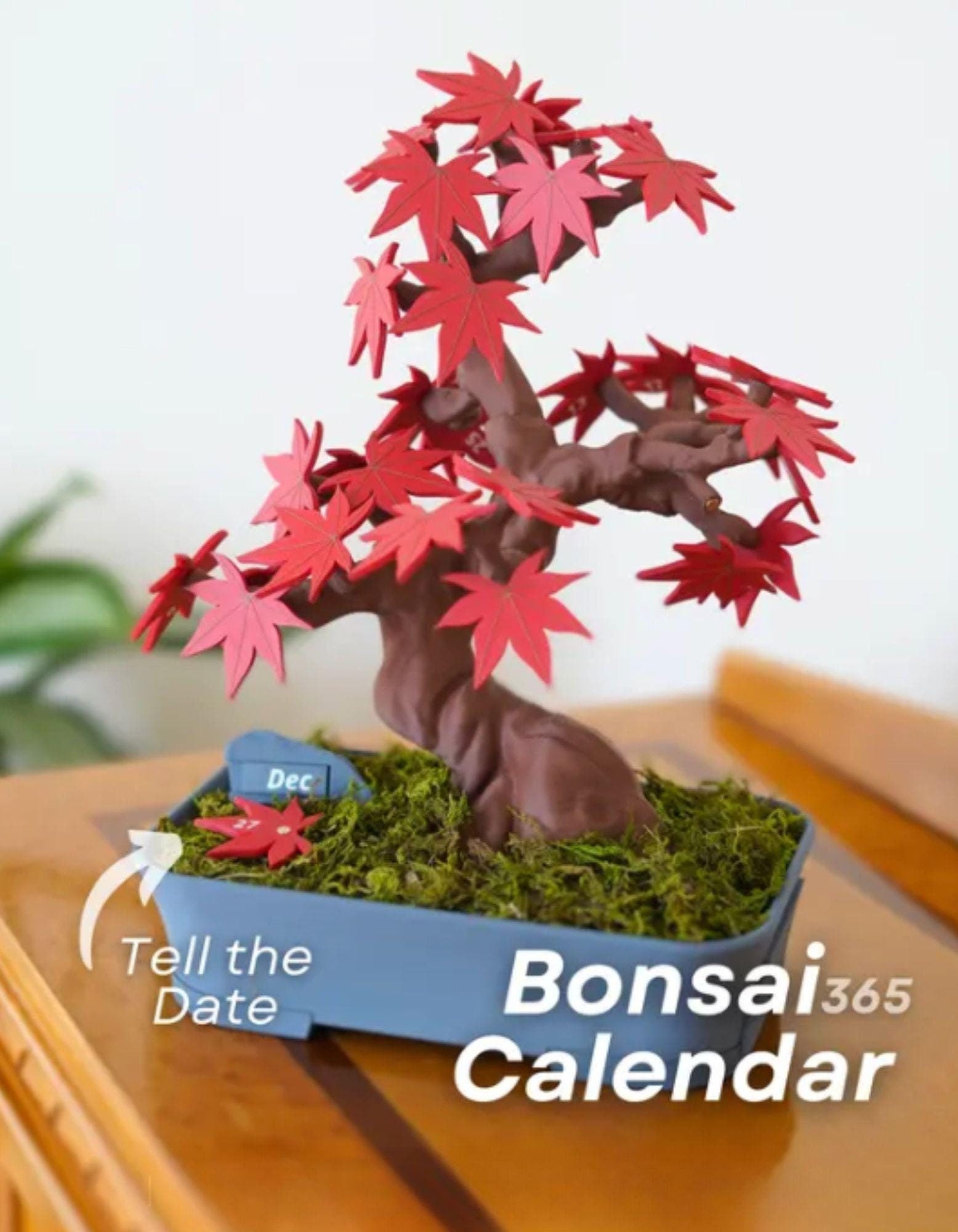 Bonsai Tree Calendar