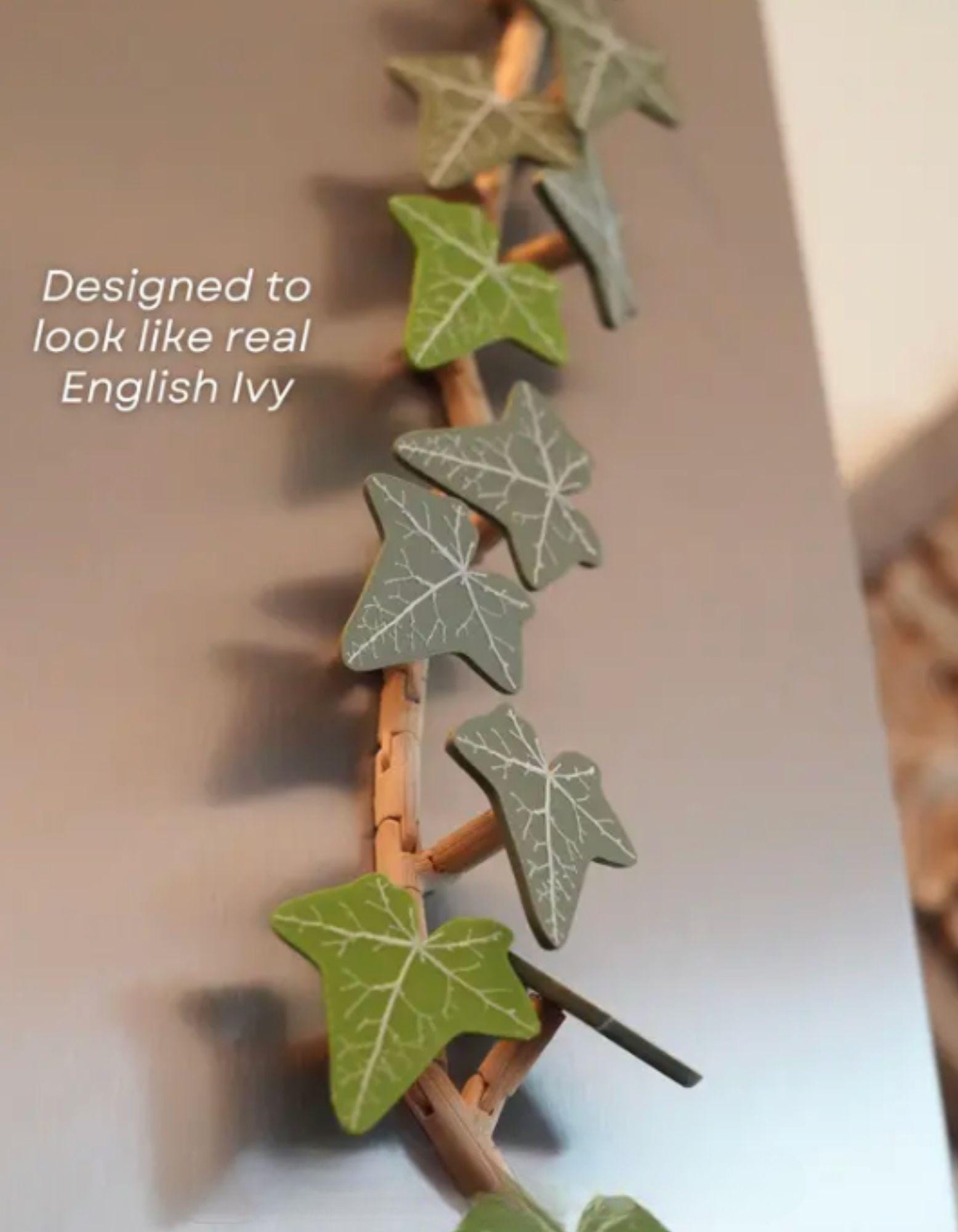 English Ivy Magnet Set