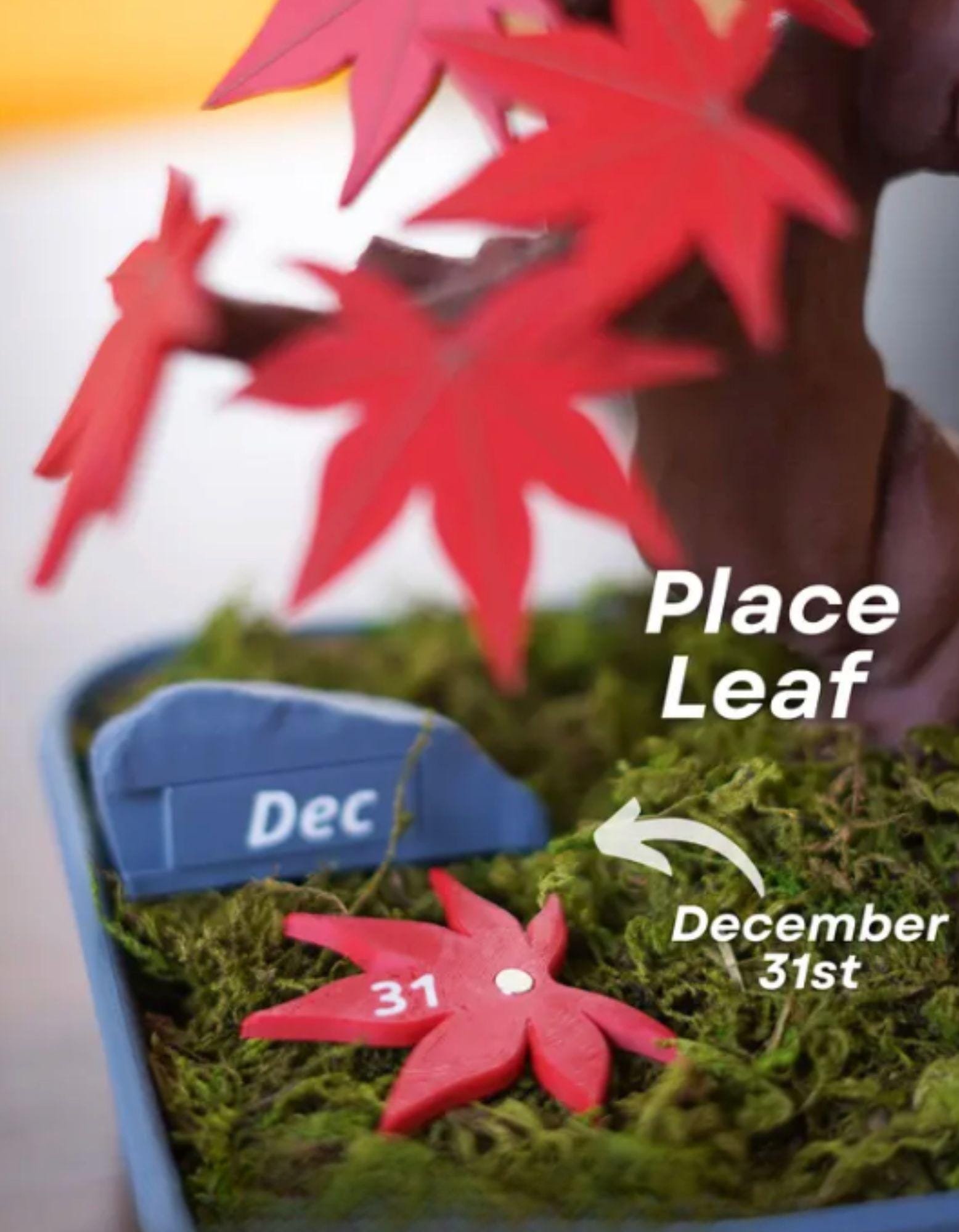 Bonsai Tree Calendar