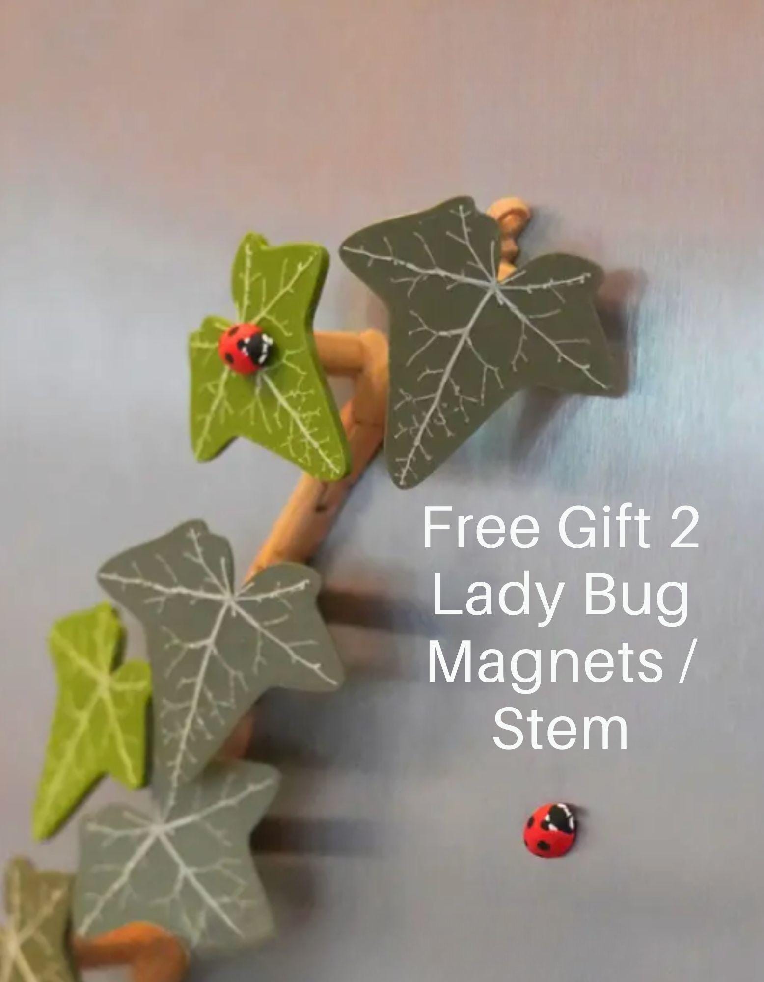 English Ivy Magnet Set