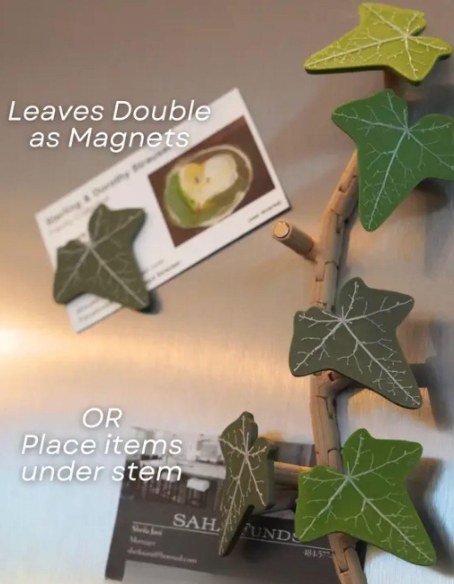 English Ivy Magnet Set