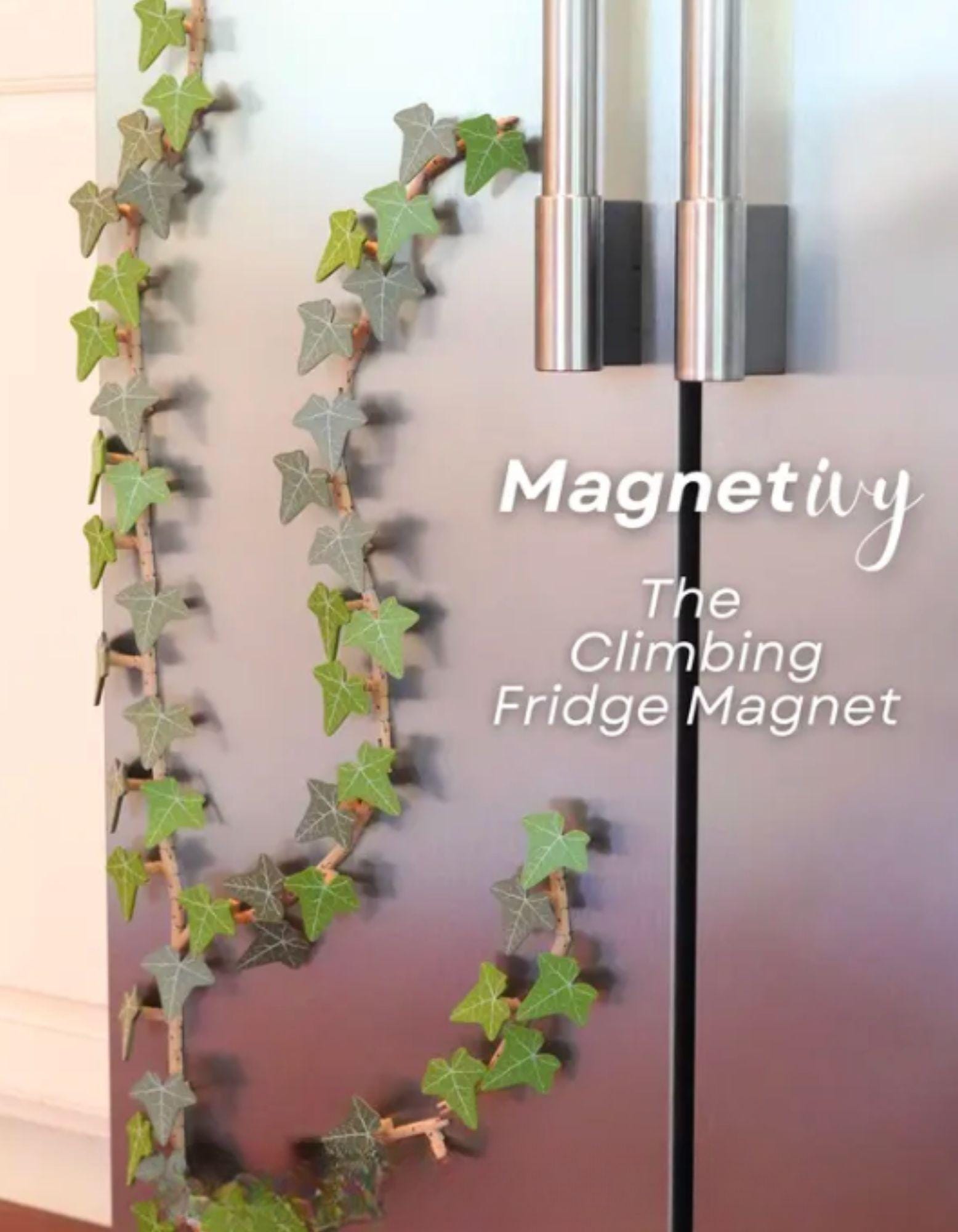 English Ivy Magnet Set