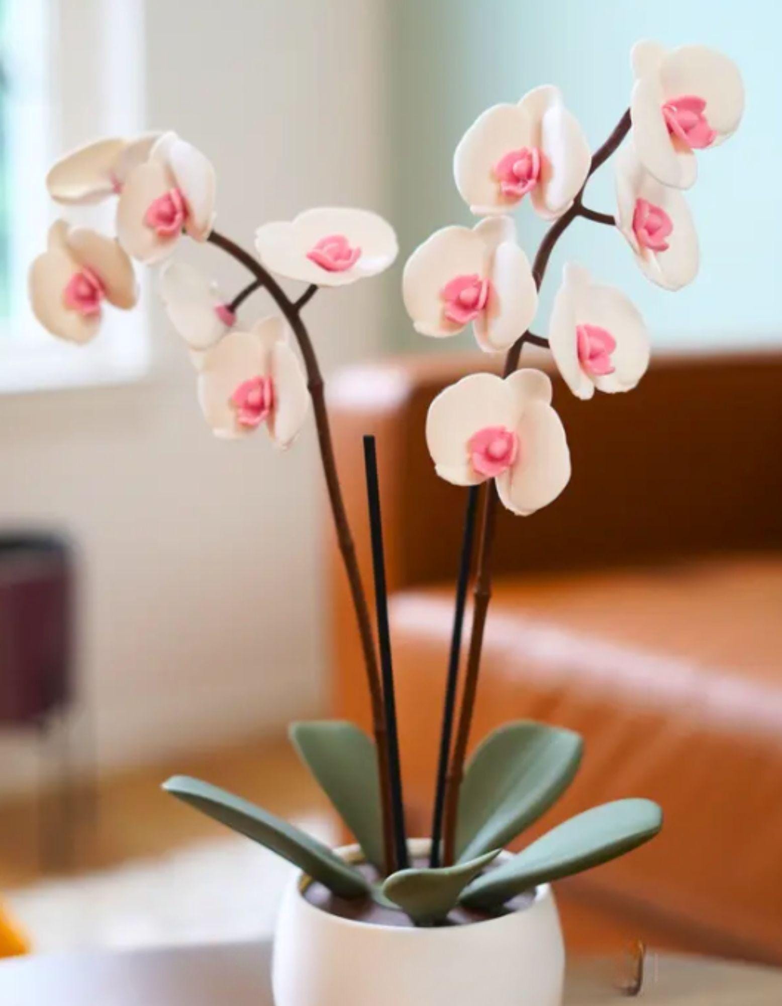 Aromatic Orchid Incense Holder