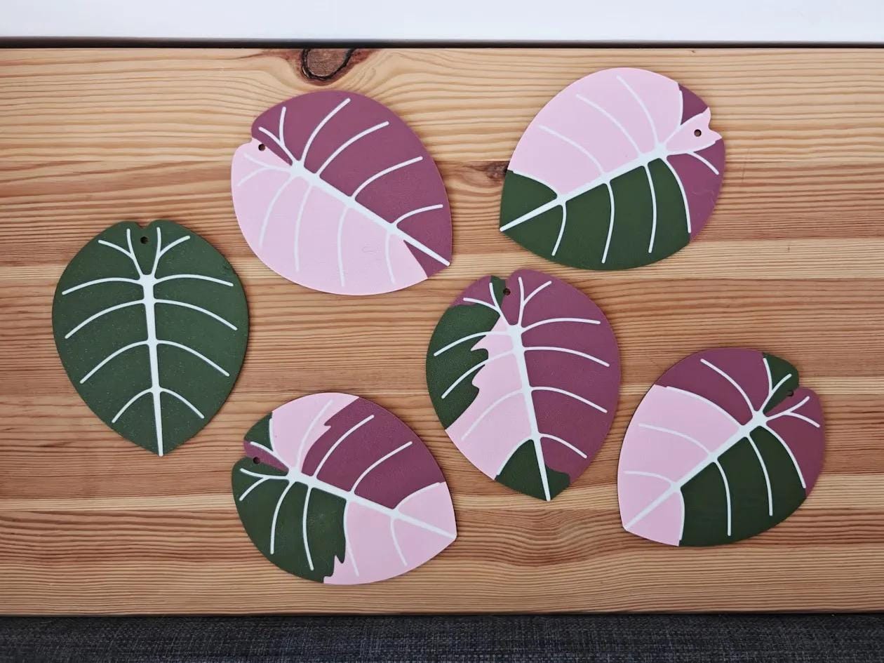 Alocasia Plant Coaster Set
